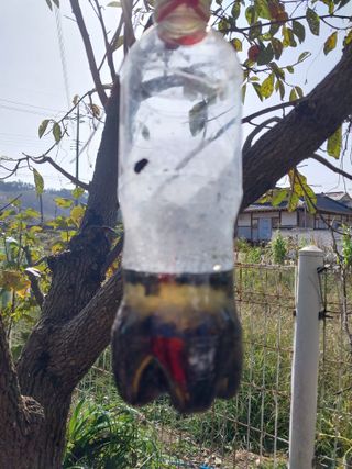 금동이네님의 자유주제 · 건의해요 작성글 사진