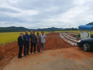 민들레 수연님의 벼 · 영농일지 작성글 사진