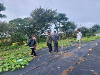 민들레 수연님의 벼 · 영농일지 작성글 사진
