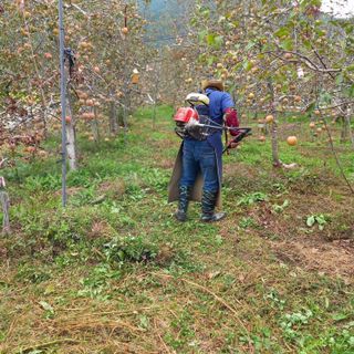 최동구님의 자유주제 · 자유게시판 작성글 사진