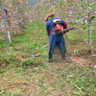 최동구님의 자유주제 · 자유게시판 작성글 사진