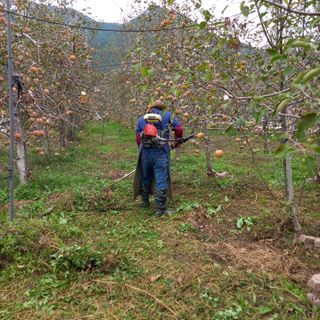 최동구님의 자유주제 · 자유게시판 작성글 사진