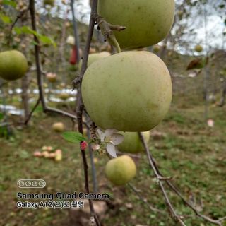 최동구님의 자유주제 · 자유게시판 작성글 사진