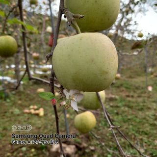 최동구님의 자유주제 · 자유게시판 작성글 사진