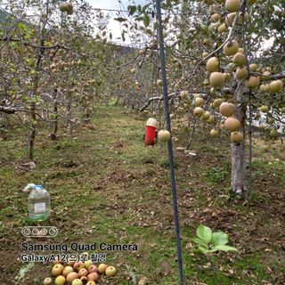 최동구님의 자유주제 · 자유게시판 작성글 사진