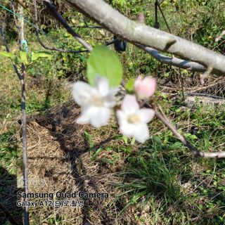 최동구님의 자유주제 · 자유게시판 작성글 사진