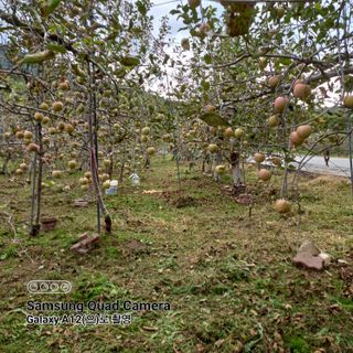 최동구님의 자유주제 · 자유게시판 작성글 사진