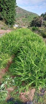 팜모닝 10월 농사 성적 자랑하기·참여글 게시글 이미지