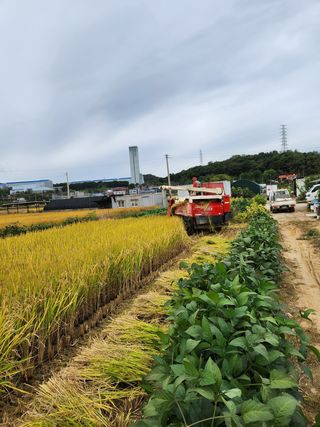 파더곰님의 콩 · 영농일지 작성글 사진