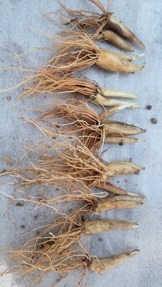 최연재님의 기타작물 · 자유게시판 작성글 사진