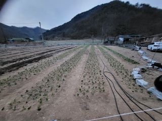 최연재님의 기타작물 · 자유게시판 작성글 사진