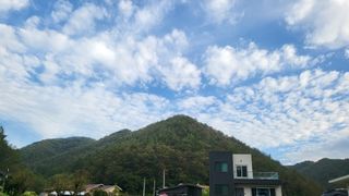 최연재님의 기타작물 · 자유게시판 작성글 사진