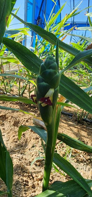 조성문님의 10월 농사 성적 자랑하기 · 참여글 작성글 사진