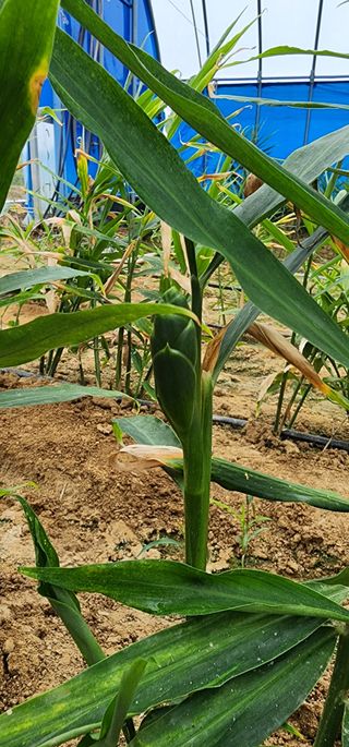 조성문님의 10월 농사 성적 자랑하기 · 참여글 작성글 사진