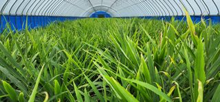 조성문님의 10월 농사 성적 자랑하기 · 참여글 작성글 사진