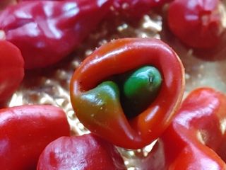 안길원님의 자유주제 · 사진전 작성글 사진