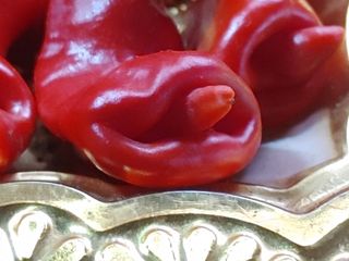 안길원님의 자유주제 · 사진전 작성글 사진