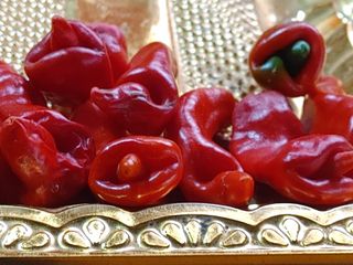 안길원님의 자유주제 · 사진전 작성글 사진