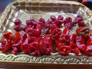 안길원님의 자유주제 · 사진전 작성글 사진