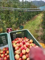 팜모닝 · 게시글 이미지