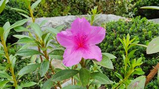 시골할머니농부박순열님의 10월 농사 성적 자랑하기 · 참여글 작성글 사진