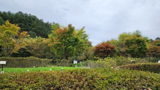 시골할머니농부박순열님의 10월 농사 성적 자랑하기 · 참여글 작성글 사진