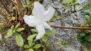 시골할머니농부박순열님의 10월 농사 성적 자랑하기 · 참여글 작성글 사진