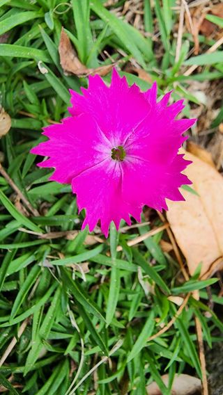 시골할머니농부박순열님의 10월 농사 성적 자랑하기 · 참여글 작성글 사진