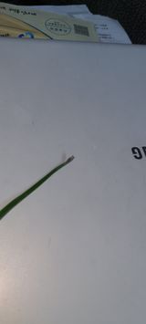 팜모닝 파·병해충상담 게시글 이미지