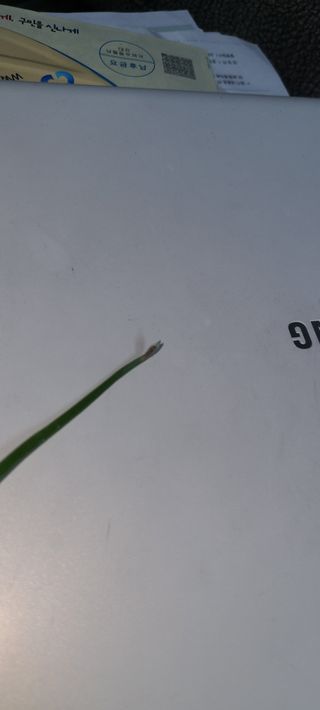 솔안농부님의 파 · 병해충상담 작성글 사진