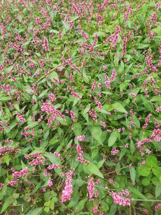 남 샘결 개둥맘님의 자유주제 · 자유게시판 작성글 사진