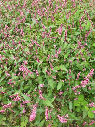 남 샘결 개둥맘님의 자유주제 · 자유게시판 작성글 사진