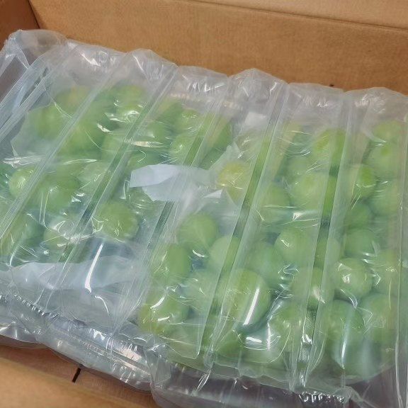 벌꿀농장♡권은주님의 장터 판매 상품 [특가할인 샤인머스켓2kg*3수 1박스] 첨부 사진