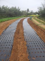 팜모닝 10월 농사 성적 자랑하기·참여글 게시글 이미지