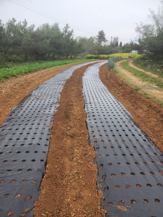 김영복 19146님의 10월 농사 성적 자랑하기 · 참여글 작성글 사진