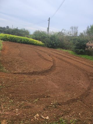 김영복 19146님의 10월 농사 성적 자랑하기 · 참여글 작성글 사진