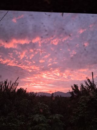 복숭아님의 10월 농사 성적 자랑하기 · 참여글 작성글 사진