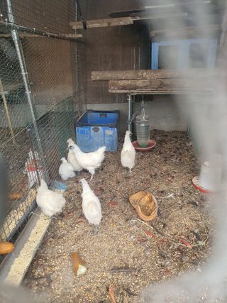 김영복님의 작성글 사진