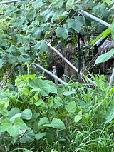 팜모닝 10월 농사 성적 자랑하기·참여글 게시글 이미지