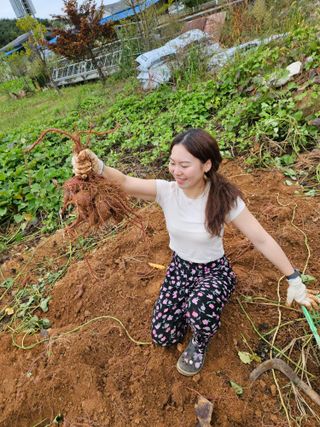 호박12662님의 10월 농사 성적 자랑하기 · 참여글 작성글 사진