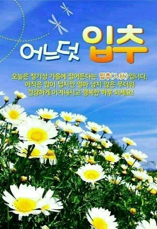 최금순(햇살농장)님의 파 · 자유게시판 작성글 사진