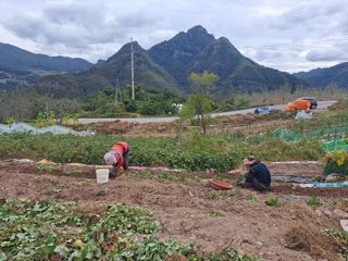 이애숙님의 10월 농사 성적 자랑하기 · 참여글 작성글 사진