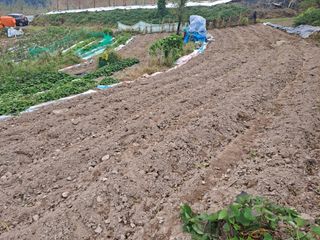 이애숙님의 10월 농사 성적 자랑하기 · 참여글 작성글 사진