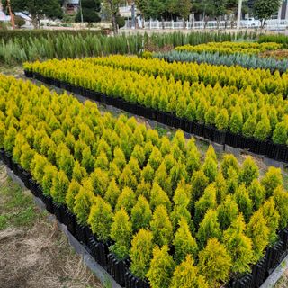 이선미님의 작성글 사진