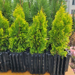 이선미님의 작성글 사진