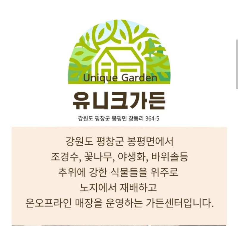 이선미님의 장터 판매 상품 [서양 황금측백 골든스마라그 30cm] 첨부 사진