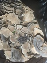 팜모닝 자유주제·건의해요 게시글 이미지