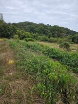 팜모닝 파·영농일지 게시글 이미지