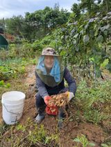 팜모닝 콩·영농일지 게시글 이미지