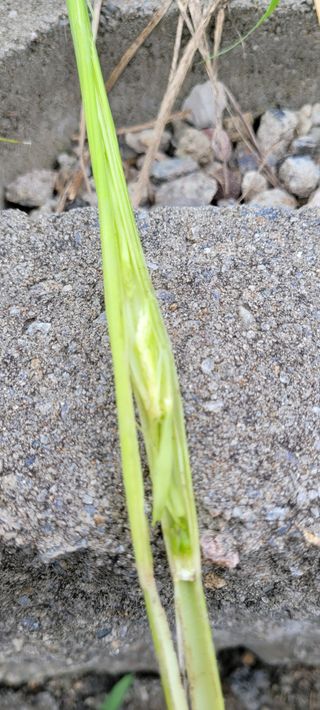 박영준님의 10월 농사 성적 자랑하기 · 참여글 작성글 사진